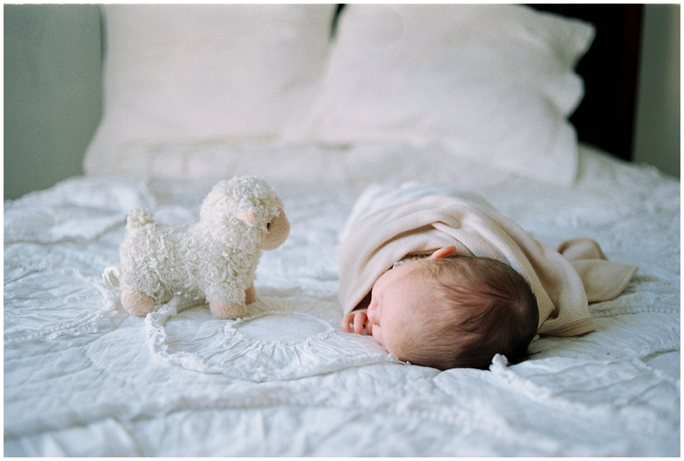 newborn-photography-nj-0144.jpg
