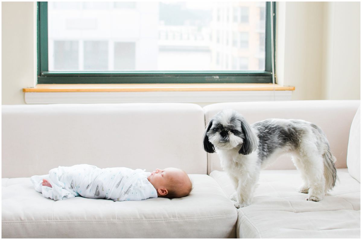 Newborn Photographer – Hoboken NJ