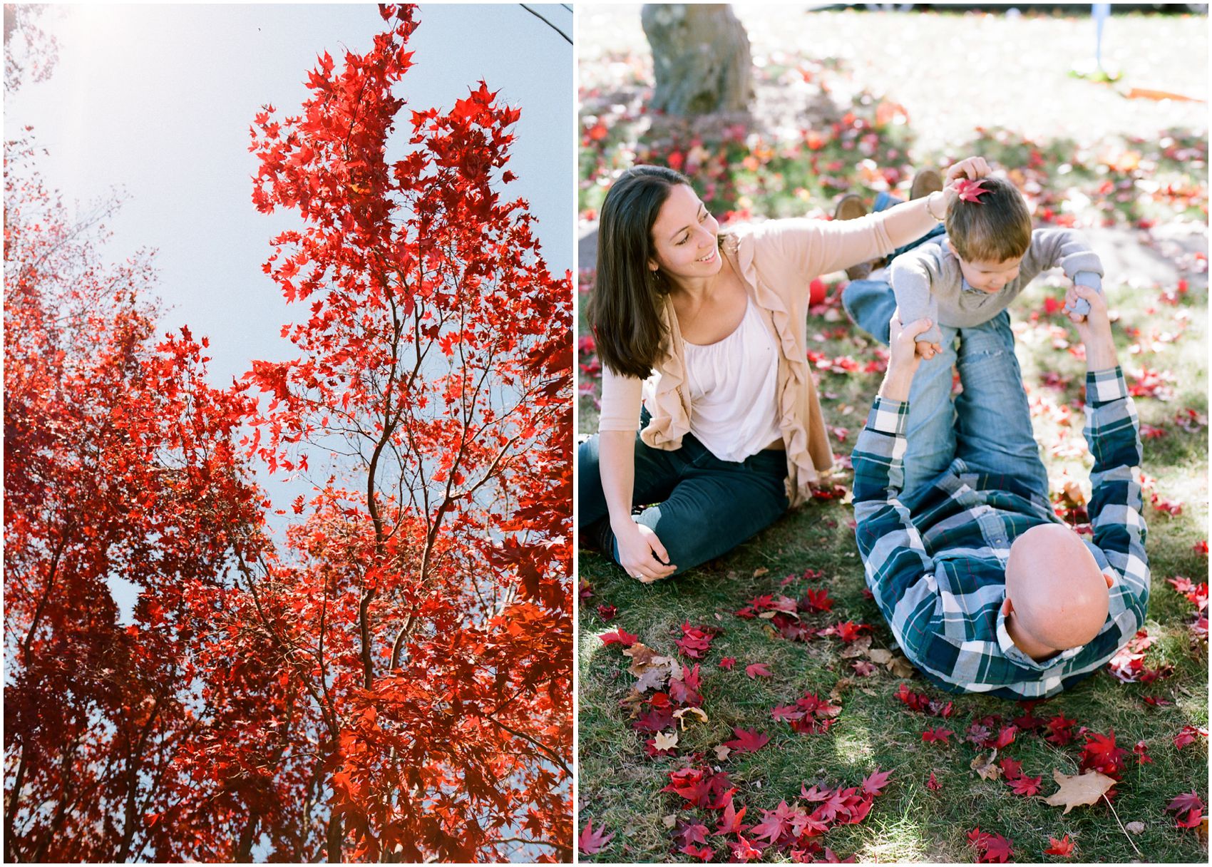 Best place for the fall family portraits