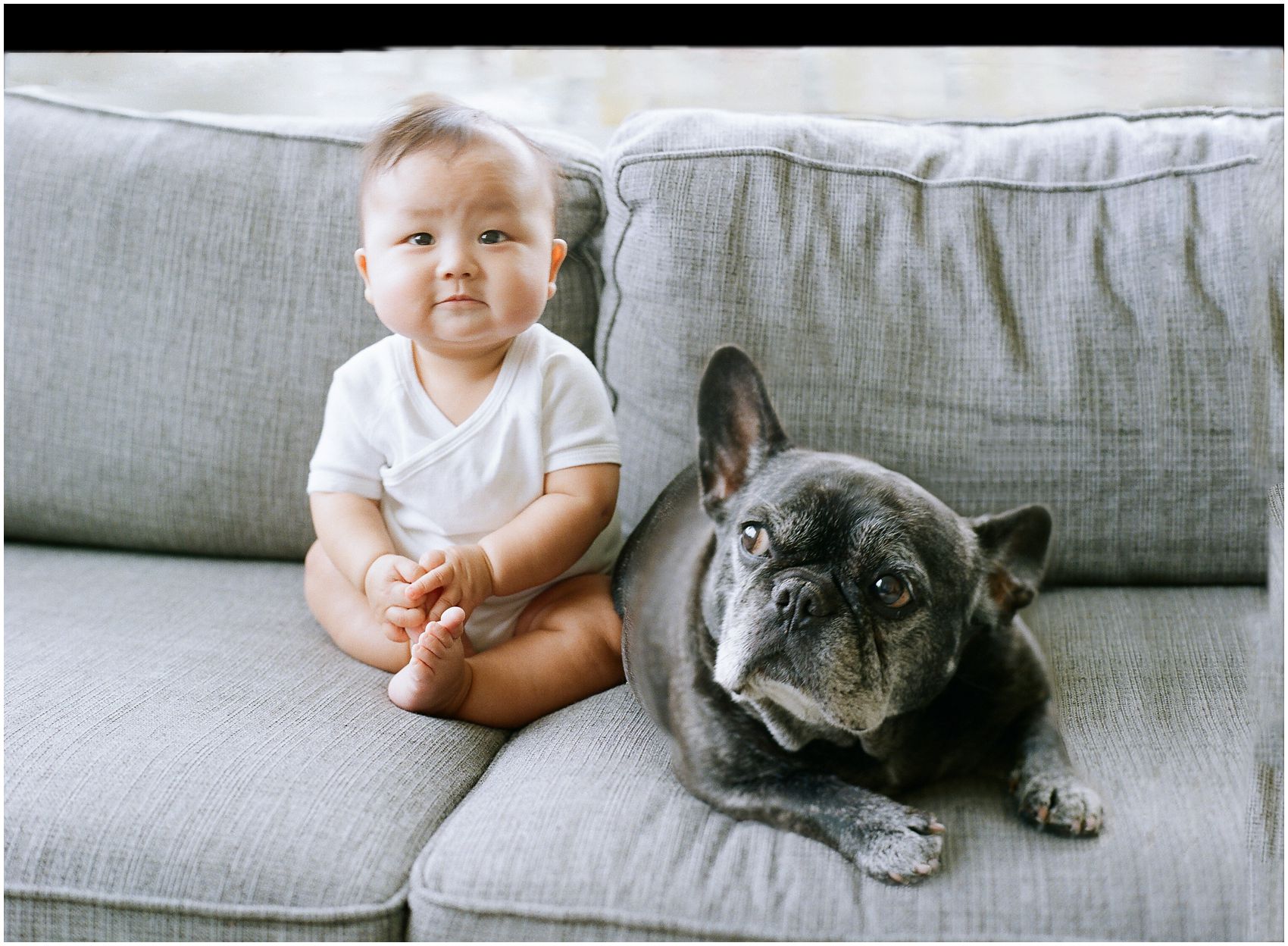 cute 6 months baby boy with a french bulldog looking at the camera in NYC baby photos