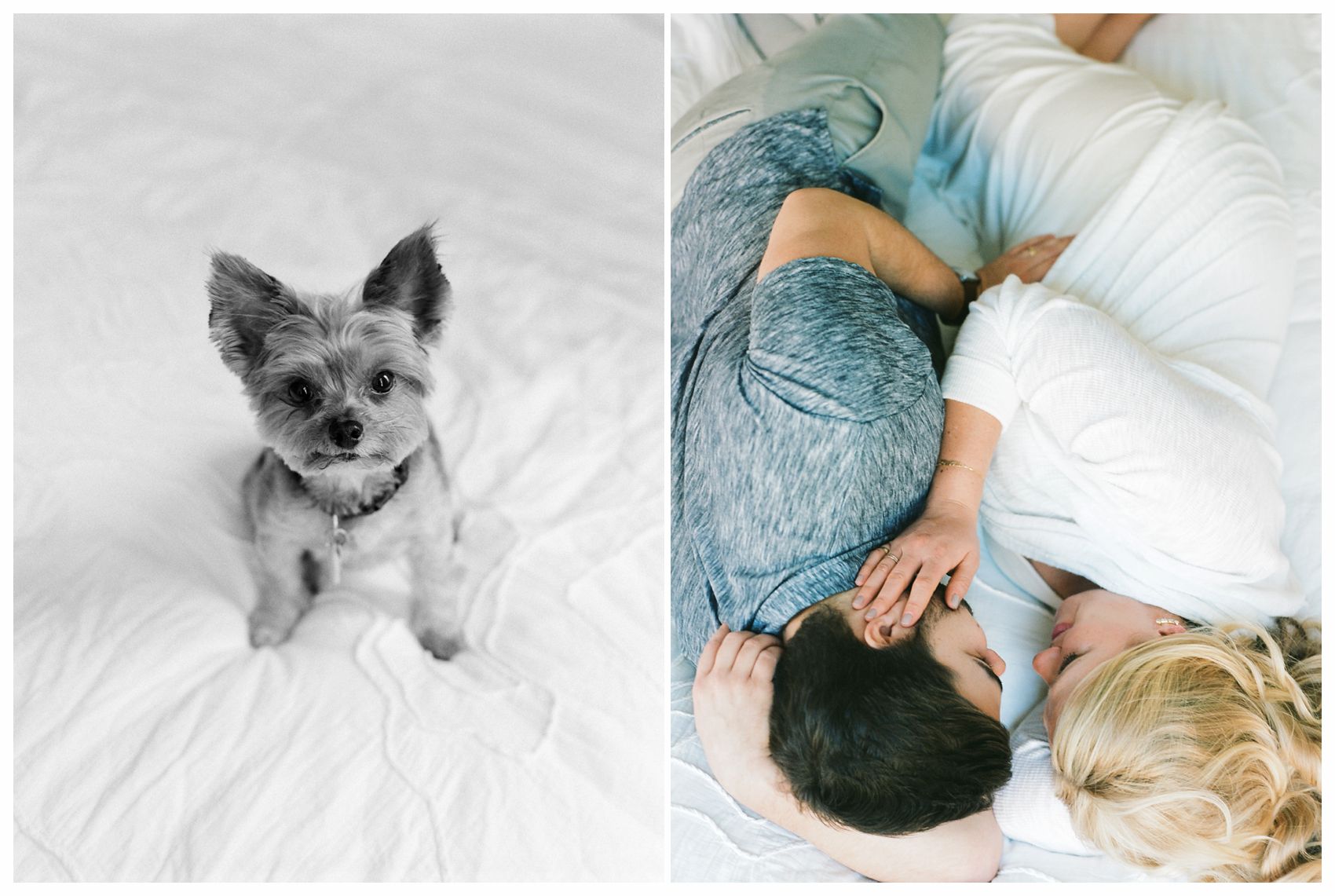 pregnant couple laying on bed with their pup for maternity photos in New York
